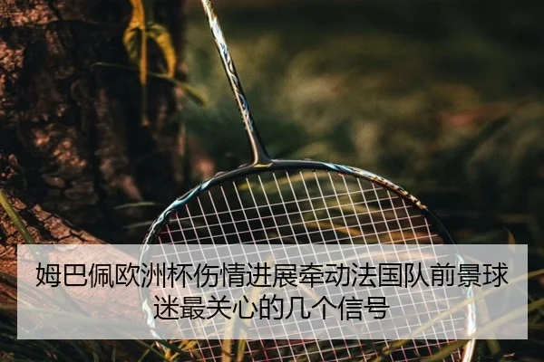 姆巴佩欧洲杯伤情进展牵动法国队前景球迷最关心的几个信号 | kaiyun